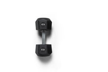 Load image into Gallery viewer, Urethane Centr x Hyrox Dumbbell